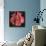 Boxing Gloves - Red-null-Giclee Print displayed on a wall