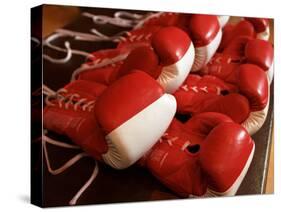 Boxing Gloves-null-Stretched Canvas