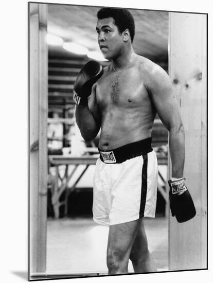 Boxing Great Muhammad Ali-Vandell Cobb-Mounted Photographic Print