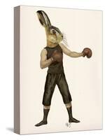 Boxing Hare-Fab Funky-Stretched Canvas