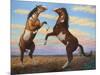 Boxing Horses-James W. Johnson-Mounted Premium Giclee Print