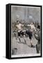 Boxing in Paris, 1899-null-Framed Stretched Canvas