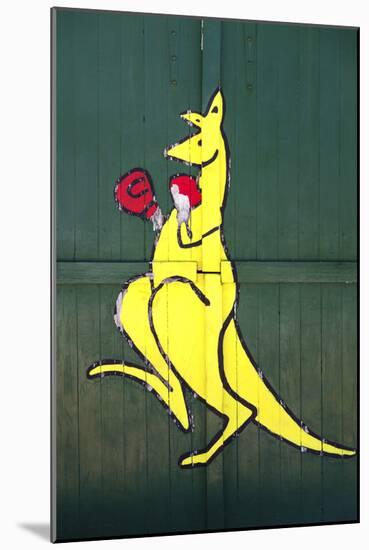 Boxing Kangaroo Painted-Cahir Davitt-Mounted Photographic Print