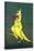 Boxing Kangaroo Painted-Cahir Davitt-Stretched Canvas