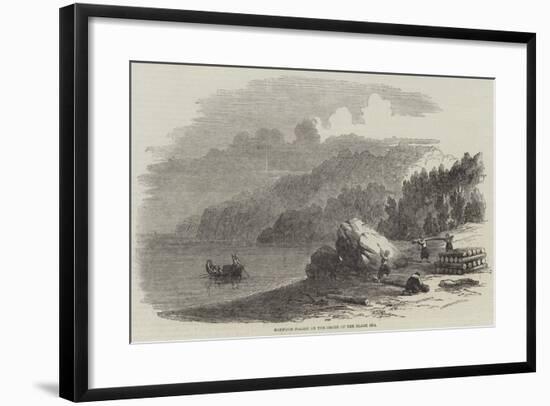 Boxwood Forest on the Shore of the Black Sea-null-Framed Giclee Print