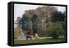 Boy and Dog Looking at Lake-William P. Gottlieb-Framed Stretched Canvas