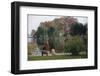 Boy and Dog Looking at Lake-William P. Gottlieb-Framed Photographic Print