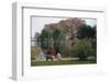 Boy and Dog Looking at Lake-William P. Gottlieb-Framed Photographic Print