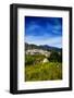 Boy and dog run to a deserted farmhouse over looking Frigiliana, Costa del Sol, Malaga Province...-Panoramic Images-Framed Photographic Print