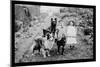 Boy and Girls with Two Dogs and a Wagon-null-Mounted Photo