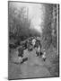 Boy and His Dog Driving the Cows in for Milking-null-Mounted Photographic Print