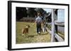 Boy and His Dog Walking Along a Fence-William P. Gottlieb-Framed Photographic Print