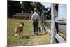 Boy and His Dog Walking Along a Fence-William P. Gottlieb-Mounted Photographic Print