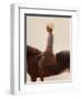 Boy and Horse-Lincoln Seligman-Framed Giclee Print