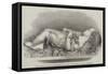 Boy Asleep, Sculpture, by Alexander Munro-null-Framed Stretched Canvas