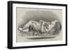 Boy Asleep, Sculpture, by Alexander Munro-null-Framed Giclee Print