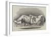 Boy Asleep, Sculpture, by Alexander Munro-null-Framed Giclee Print