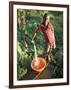 Boy at Water Tap, Chuka Village, Mount Kenya, Kenya, East Africa, Africa-Duncan Maxwell-Framed Photographic Print