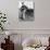 Boy Balances on His Skateboard with a Look of Concentration on His Face-Gill Emberton-Photographic Print displayed on a wall