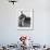 Boy Balances on His Skateboard with a Look of Concentration on His Face-Gill Emberton-Framed Photographic Print displayed on a wall