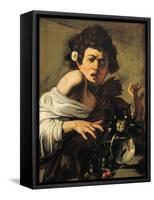Boy Bitten by a Lizard-Caravaggio-Framed Stretched Canvas