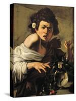 Boy Bitten by a Lizard-Caravaggio-Stretched Canvas