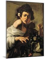 Boy Bitten by a Lizard-Caravaggio-Mounted Giclee Print