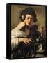 Boy Bitten by a Lizard-Caravaggio-Framed Stretched Canvas