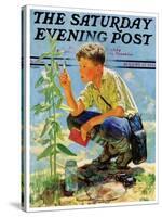 "Boy Botanist," Saturday Evening Post Cover, August 27, 1932-Eugene Iverd-Stretched Canvas