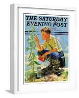 "Boy Botanist," Saturday Evening Post Cover, August 27, 1932-Eugene Iverd-Framed Giclee Print