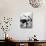 Boy Bowling at a Local Bowling Alley-Art Rickerby-Photographic Print displayed on a wall