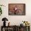 Boy Cleaning His Bike-William P. Gottlieb-Framed Photographic Print displayed on a wall