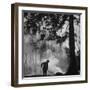 Boy Combining Play and Seasonal Chore, Stirring a Pile of Burning Leaves-Allan Grant-Framed Photographic Print