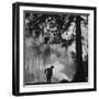 Boy Combining Play and Seasonal Chore, Stirring a Pile of Burning Leaves-Allan Grant-Framed Photographic Print