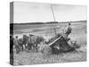 Boy Driving Father's Horse Team and Binder in Wheat Field-null-Stretched Canvas