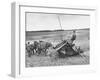 Boy Driving Father's Horse Team and Binder in Wheat Field-null-Framed Photographic Print