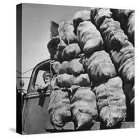Boy Driving Truck Carrying Load of Potatoes-George Strock-Stretched Canvas