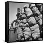 Boy Driving Truck Carrying Load of Potatoes-George Strock-Framed Stretched Canvas