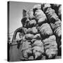 Boy Driving Truck Carrying Load of Potatoes-George Strock-Stretched Canvas