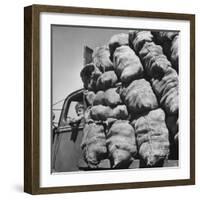 Boy Driving Truck Carrying Load of Potatoes-George Strock-Framed Photographic Print