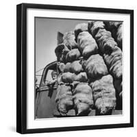 Boy Driving Truck Carrying Load of Potatoes-George Strock-Framed Photographic Print