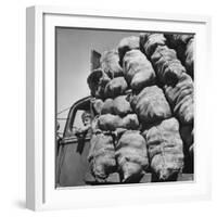 Boy Driving Truck Carrying Load of Potatoes-George Strock-Framed Photographic Print