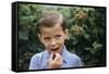 Boy Eating a Raspberry-William P. Gottlieb-Framed Stretched Canvas