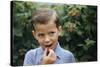 Boy Eating a Raspberry-William P. Gottlieb-Stretched Canvas