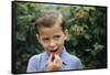 Boy Eating a Raspberry-William P. Gottlieb-Framed Stretched Canvas