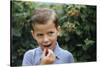 Boy Eating a Raspberry-William P. Gottlieb-Stretched Canvas