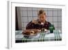 Boy Eating a Slice of Cake-William P. Gottlieb-Framed Photographic Print