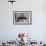 Boy Eating a Slice of Cake-William P. Gottlieb-Framed Photographic Print displayed on a wall