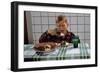 Boy Eating a Slice of Cake-William P. Gottlieb-Framed Photographic Print