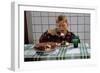 Boy Eating a Slice of Cake-William P. Gottlieb-Framed Photographic Print